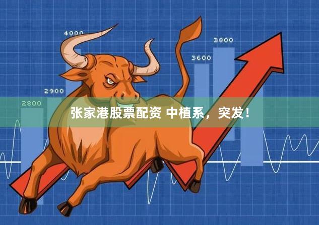 张家港股票配资 中植系，突发！