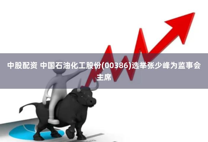 中股配资 中国石油化工股份(00386)选举张少峰为监事会主席