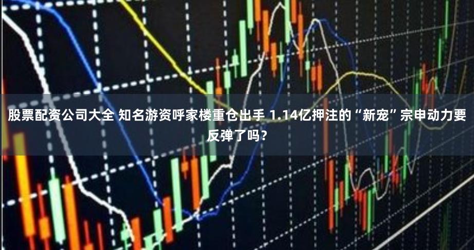 股票配资公司大全 知名游资呼家楼重仓出手 1.14亿押注的“新宠”宗申动力要反弹了吗？