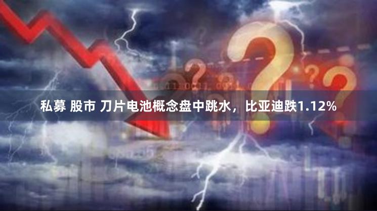 私募 股市 刀片电池概念盘中跳水，比亚迪跌1.12%