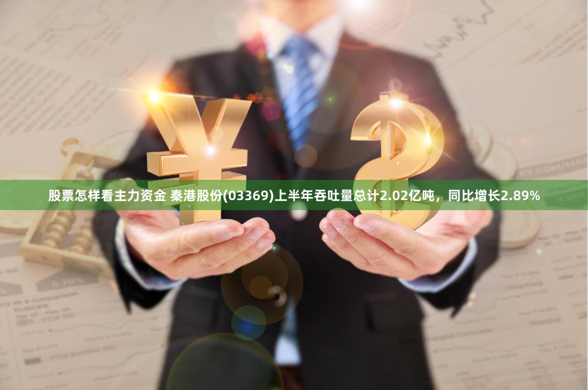 股票怎样看主力资金 秦港股份(03369)上半年吞吐量总计2.02亿吨，同比增长2.89%