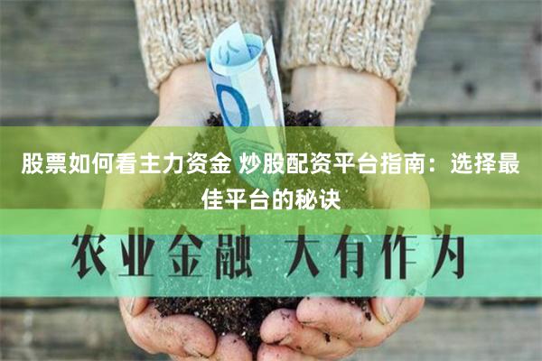 股票如何看主力资金 炒股配资平台指南：选择最佳平台的秘诀